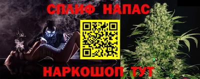 PSILOCYBIN Бугуруслан