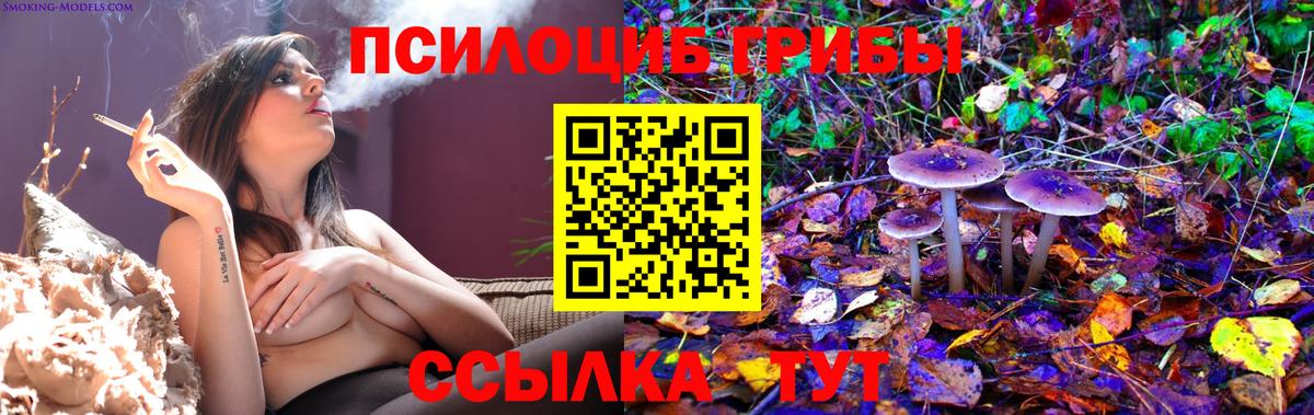 Псилоцибиновые грибы мухоморы  Псилоцибиновые грибы MAGIC MUSHROOMS  Вход с VPN  сколько стоит  Тейково 